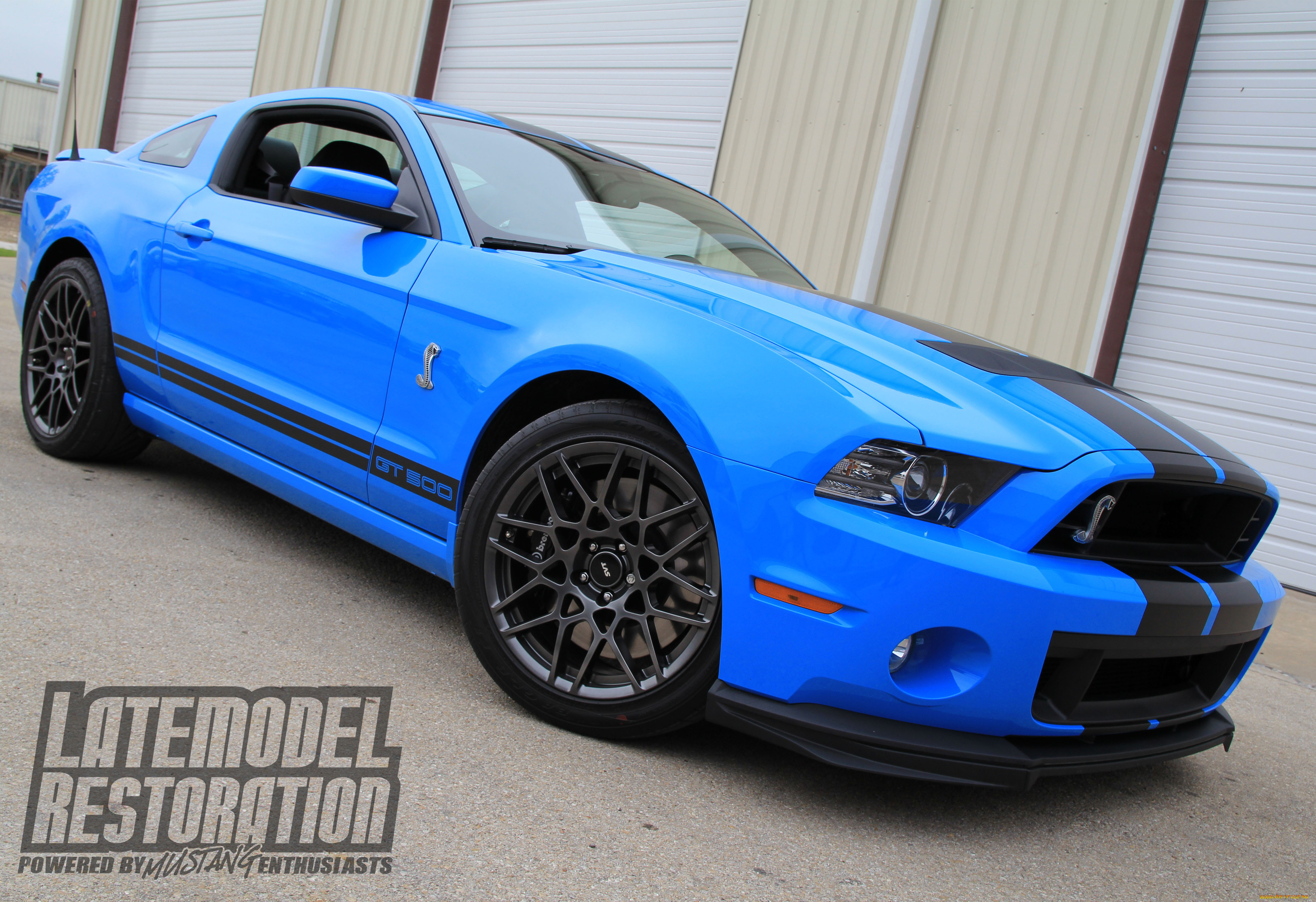 , mustang